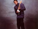 Robert Cray - Strong Persuader - Vinyl Record 2013 New