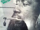 ORIG 1976 ROOTS LP.
