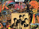 FLAT EARTH SOCIETY - WALEECO US PSYCH CLASSIC BOSTON FUZZ GARAGE 1968 LP RE