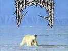 MESSIAH  - Extreme Cold Weather Vinyl/LP Chainsaw Murder Rec.  1987