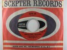 Funk 45 BACKYARD HEAVIES Soul Junction / Expo 83 on Scepter