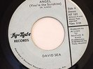 SWEET SOUL 45-DAVID SEA-ANGEL I&II on HY TYDE-VG+