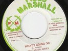 Brigadier Jerry - What's Going On - ROOTS MISSILE