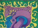 Orig THE SACRED MUSHROOM Self Titled s/t LP Private 1969 OH Psych Garage