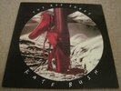 KATE BUSH - THE RED SHOES - RARE 1993 UK EMI LP