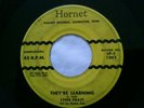 RARE Lynn Pratt Rockabilly 45 Orig Hornet 1002 They're Psychobilly Northern Soul