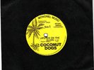 COCONUT DOGS 'LIPSTICK ON THE GLASS' POWERPOP SRT 1980