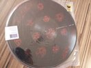 Rane Serato Scratch Live Vinyl GC Picture Disc ltd 12