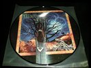 MERCYFUL FATE - IN THE SHADOWS PICTURE DISC LP KING DIAMOND HEAVY METAL MELISSA