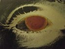MONSTER SYMPHONIC PROG ROCK LP DILLA ALCHEMIST EVIL HIP-HOP SAMPLES BREAKS HEAR