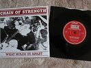 Chain of Strength What Hold Us Apart First Strike Gorilla Biscuits Rival Mob AFI