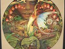 SPYRO GYRA Morning Dance PROMO ONLY PICTURE DISC LP Rare