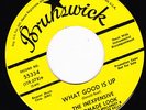 GARAGE 45 RPM - THE INEXPENSIVE HANDMADE LOOK on BRUNSWICK  RECORDS (PROMO)