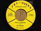 ED CROOK M- Detroit Northern Soul 45  That's Alright/You'll See   Tri Sound