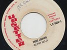 UPSETTER REGGAE 45 ALTON ELLIS TRUE LOVING ?