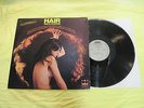 HAIR The 31 Flavors LP PSYCH FUZZ BIKER ROCK Firebirds Nude Cover