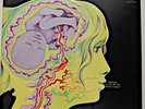 The Keith Tippett Group, Vertigo