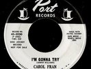 Soul R&B Popcorn 45   Carol Fran   I'm Gonna Try   Port   WLP mp3