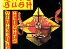 Kate Bush Wuthering Heights 7