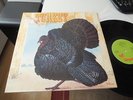 WILD TURKEY TURKEY LP MINT 1972 FOC ( EX JETHRO TULL)