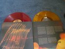 Kings Of Leon - 2 LP Coloured Vinyl Mechanical Bull Gatefold Sleeve