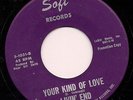 Garage LIVIN' END Your Kind Of Love SOFT Fuzz LISTEN