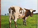 PINK FLOYD ATOM HEART MOTHER UK 1ST PRESS STUNNING M- NO EMI MINT AUDIO PROG LP