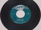 1967 Canada Garage Rock MG and The Escorts Someday Fool 45 rpm Record Fuzz Psych