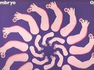 EMBRYO   'OPAL'  OHR  (KRAUTROCK) ORIGINAL G/F  (1970)  GERMANY - 