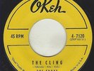 RARE GREAT DOO WOP 1ST PRESS 45 