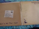 BABYSHAMBLES DOWN IN ALBION LP (PLEASE ONLY UNITED KINGDOM BIDDERS)