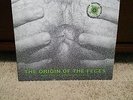 Type O Negative vinyl record 12