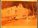 TOP RARE ANDY WARHOL 12