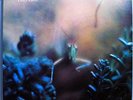 STEELY DAN KATY LIED ULTRA-RARE ORIG LIMITED EDITION MFSL AUDIOPHILE LP MINT 