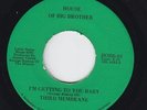 Funk 45 - Third Membrane - Getting To You Baby - House Of Big Brother - mp3