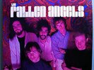 FALLEN ANGELS SELF-TITLED 2d ALBUM VERY RARE ORIG'68 ROULETTE PSYCH LP VERY NICE