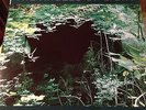 Angels of Light - New Mother LP Original First press Mint Michael Gira SWANS