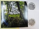Dead Meadow ?– OLD GROWTH - RARE ORIG. 2LP OOP Indie Stoner Psych matador NM