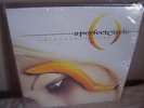 A Perfect Circle - The Thirteenth Step 2xlp gatefold vinyl record
