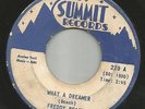 DOOWOP bw/ ROCKABILLY TEEN--FREDDY BEACH-- WHAT A DREAMER --HEAR BOTH--on SUMMIT