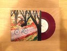 BASEMENT -songs about the weather*title fight,more than life,seahaven,dead swans