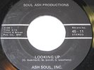 ASH SOUL INC I Do Love You+inst SWEET SOUL Private 45 CROSSOVER 70s Funk Horns