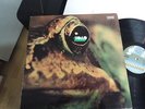 TOAD SAME LP IN 1971 MINT SWISS KRAUTROCK MONSTER WOW
