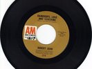 Robert John - Raindrops love and sunshine (A&M 1210)