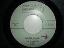 RARE SURF 45. THE GAMBLERS-MOON DAWG/LSD-25/WORLD PACIFIC X-815