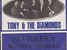 TONY AND THE DIAMONDS - NO REPLY   (BEATLES)   DANISCH PS