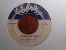 LITTLE WILLIE FOSTER Crying the Blues on Cobra Blues 45 Hear