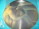 Tool - 1996 