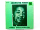 Homesick James Ain't sick no more Bluesway  BLS 6071 SEALED