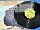 TURKEY-WILD TURKEY-VERY 1ST UK PRESSING-MINTY
